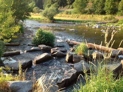 Bild 17 aus  Ferienpension-Bauernhof Mattenhof