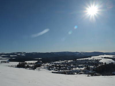 Bild 8 aus  Waldmeisterzimmer