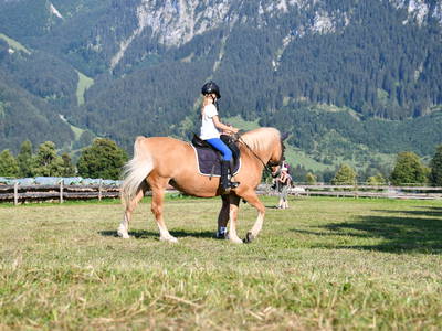 Bild 59 aus  Augustinerhof