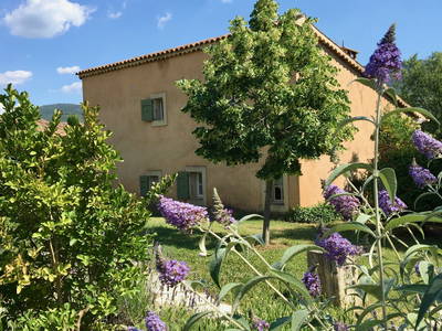 Bild 2 aus  Domaine de La Bastidonne (PROVENCE-LUBERON)