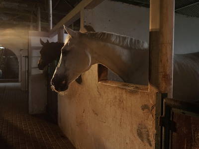 Bild 3 aus  Casa Hanna test super