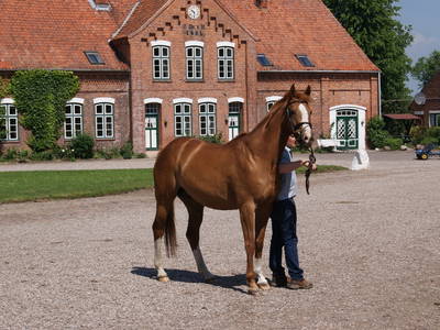 Bild 21 aus  LandSelection Gut Gaarz