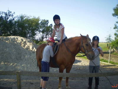 Bild 20 aus  Ommen Ferienhof