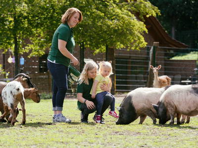 Bild 27 aus  Familienhof Brüning