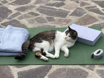 Bild 29 aus  Casa Bivignano