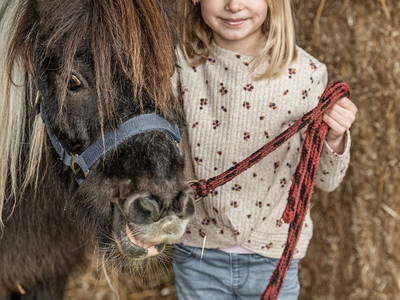 Bild 13 aus  Zillertaler Hofchalets