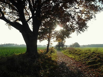 Wander- und Fahrradweg in der Umgebung der Ferienhöfe, Tourentipps gibt es auf unserer Internetseite