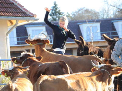 Nur singen tun sie noch nicht!