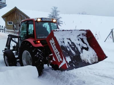 Bild 21 aus  Willkommen bei Familie Gutmann  auf dem Itzenwaldhof