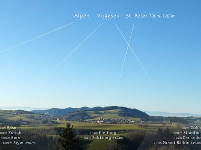 Bild 9 aus  Waldmeisterzimmer