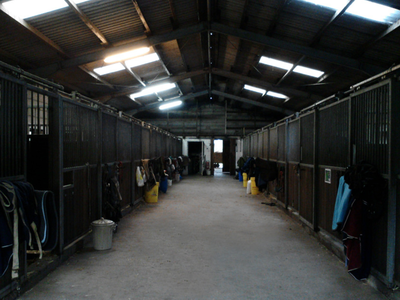 Bild 9 aus  Reitsport Wikner