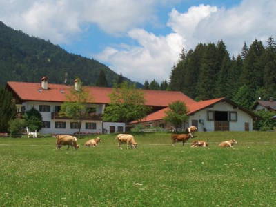 Bild 4 aus  Zoberbauer