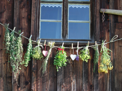 Bild 29 aus  Bio-Bauernhof Holzer