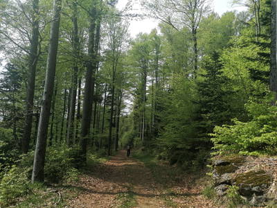 Bild 16 aus  Ferienwohnung Josef Müller