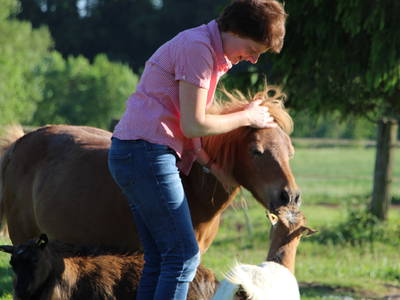 Bild 19 aus  Hof Hainholzblick