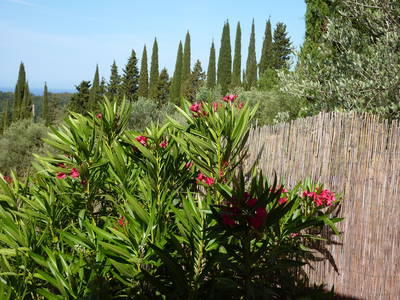 Bild 11 aus  Rifugio Guardistallo