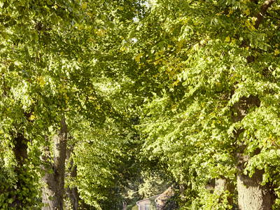 Bild 20 aus  LandSelection Ferienhof Friedrichsthal