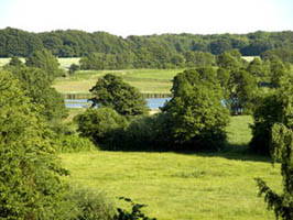 Bild 16 aus  Idyll an der Schlei