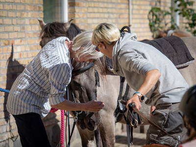 Bild 22 aus  LINDENHOF- BAUERNHOFURLAUB / OSTSEENÄHE