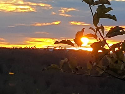 Bild 31 aus  Schmidts Ferienhof - Tierisch guter Urlaub im Herzen Deutschlands