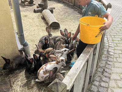 Bild 49 aus  Landkulturhof Glücksbringer