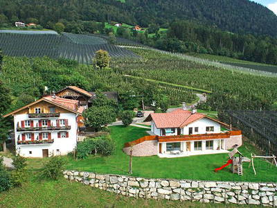 Bild 4 aus  Krebishof