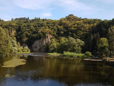 Bild 8 aus  Ferienhaus am Fluss