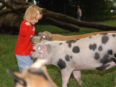 Bild 7 aus  LandSelection Landferienhof Garbert