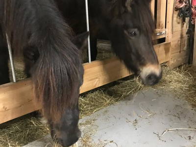 Bild 29 aus  Familienparadies Oberhasenberghof