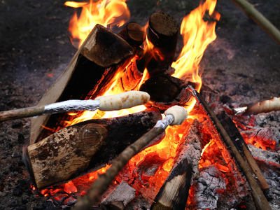 Bild 48 aus  Ferienhof Schmeling