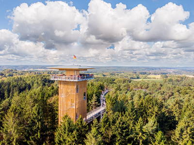 Heidehimmel im Wildpark Lüneburger Heide