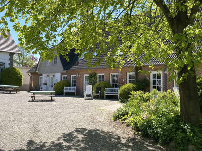 Bild 74 aus  Ferienhof Messer  Bauernhofurlaub  Ostseenähe  Ponys