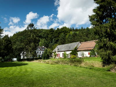 Bild 37 aus  Gut Neuwerk