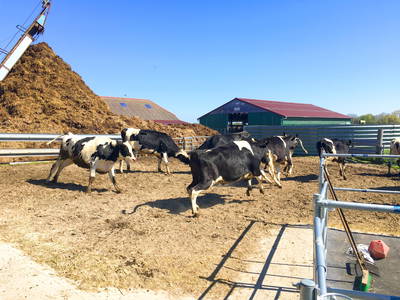 Bild 15 aus  Küstenhof Oldewurtel