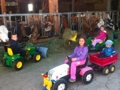 Bild 30 aus  Schnagererhof