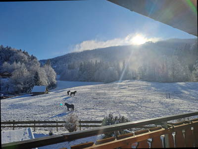 Bild 20 aus  Bichlerhof