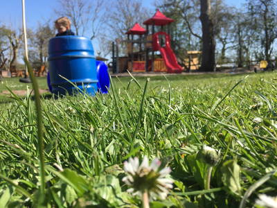 Bild 38 aus  Ferienhof Presener Deichkrone