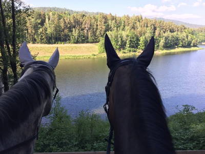 Bild 4 aus  Reitschule Fuchsenhof FN