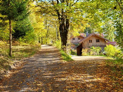 Bild 16 aus  Hütten und Ferienwohnungen im Bayerischen Wald ,  Nähe Arber u. Nationalpark Bayerischer Wald