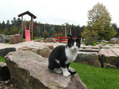 Bild 10 aus  Gutshof Armbruster