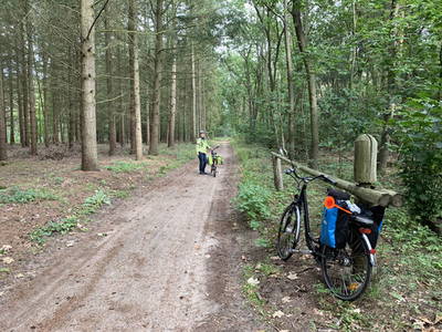 Bild 14 aus  Nordseefewo Lämmerblick