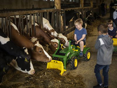 Bild 3 aus  Bauernhof Gördes