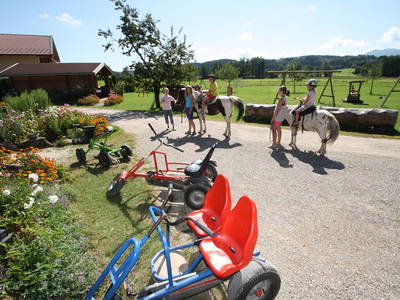 Bild 27 aus  Stefanutti Hof