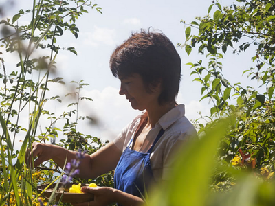 Bild 14 aus  Weidacherhof