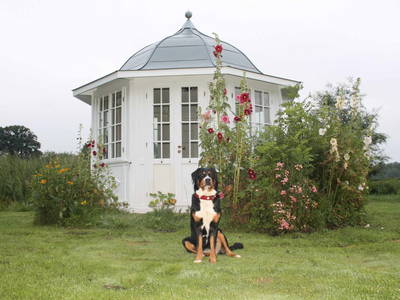 Bild 64 aus  FerienGut Dalwitz     www.feriengutdalwitz.de