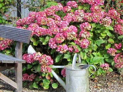 Bild 6 aus  Ferienhof  Moos