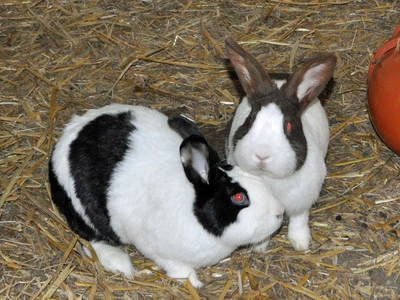 Bild 8 aus  Eichenhof