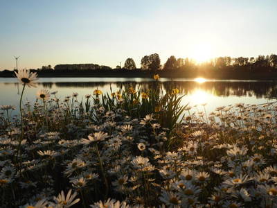 Bild 19 aus  Coproyshof am See