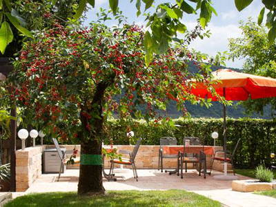 Bild 12 aus  Weingut Winnebeck inmitten der Weinberge