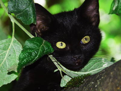 Bild 34 aus  Weidererhof